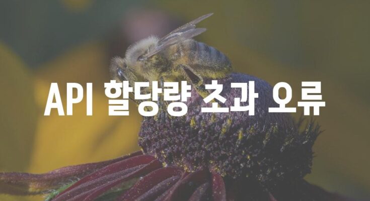 API 할당량 초과 오류