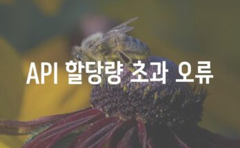 API 할당량 초과 오류