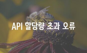 API 할당량 초과 오류