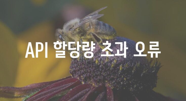 API 할당량 초과 오류