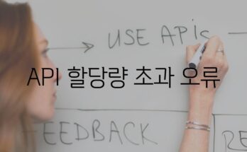 API 할당량 초과 오류