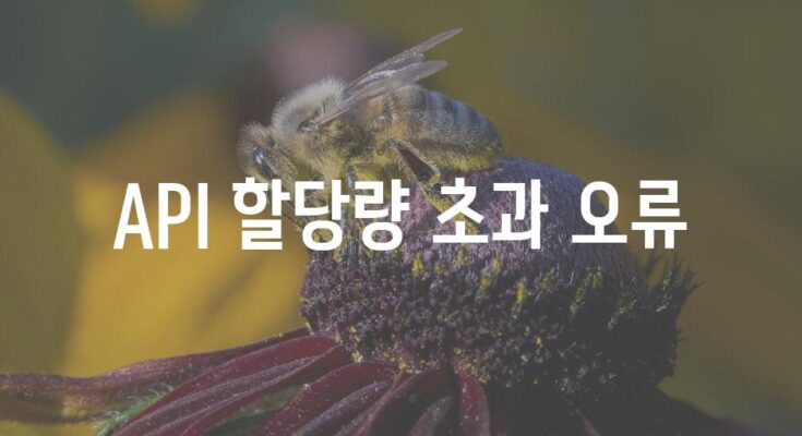 API 할당량 초과 오류