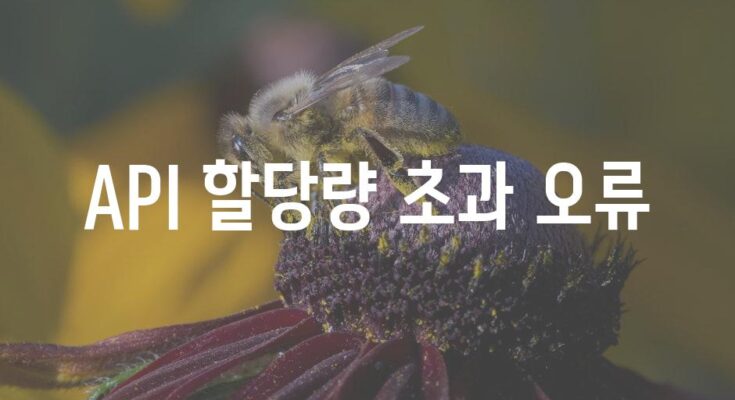 API 할당량 초과 오류