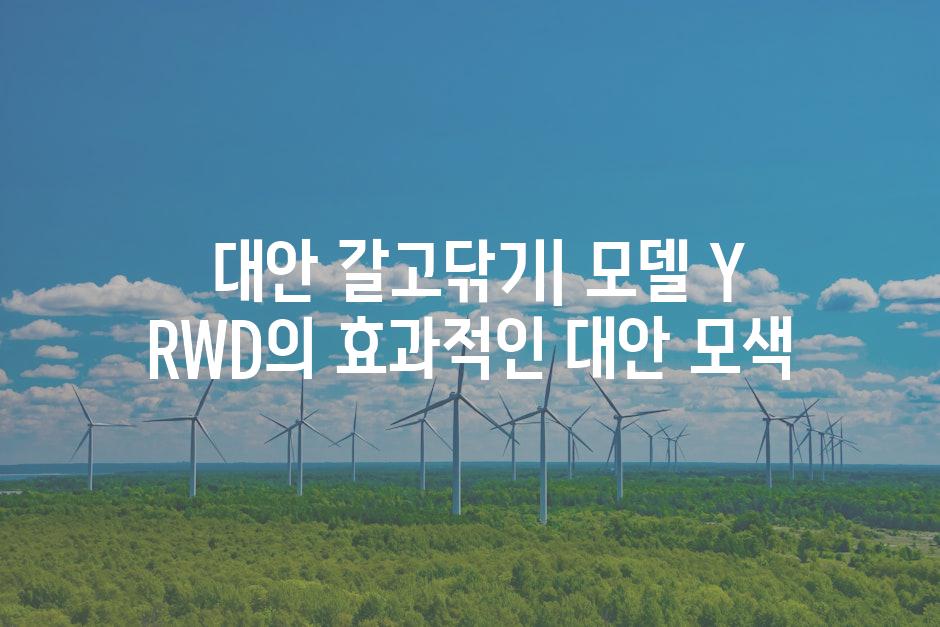  대안 갈고닦기| 모델 Y RWD의 효과적인 대안 모색