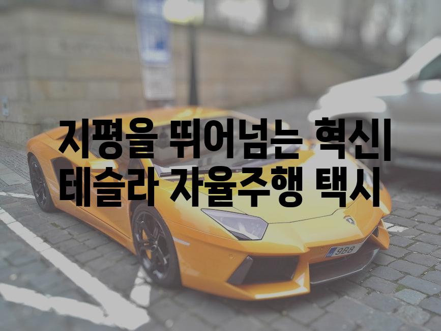  지평을 뛰어넘는 혁신| 테슬라 자율주행 택시