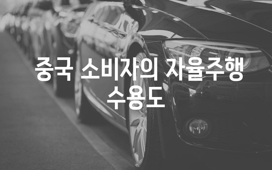  중국 소비자의 자율주행 수용도