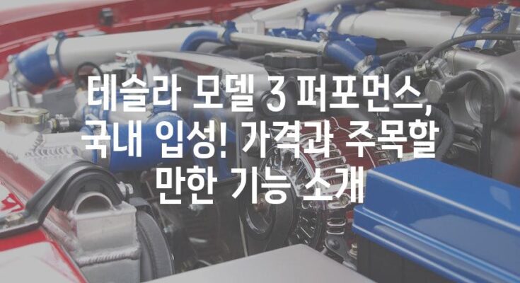 테슬라 모델 3 퍼포먼스, 국내 입성! 가격과 주목할 만한 기능 소개