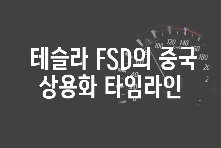  테슬라 FSD의 중국 상용화 타임라인