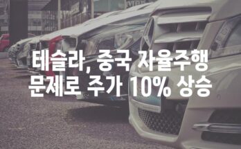 테슬라, 중국 자율주행 문제로 주가 10% 상승