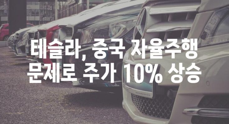 테슬라, 중국 자율주행 문제로 주가 10% 상승