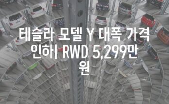 테슬라 모델 Y 대폭 가격 인하| RWD 5,299만 원