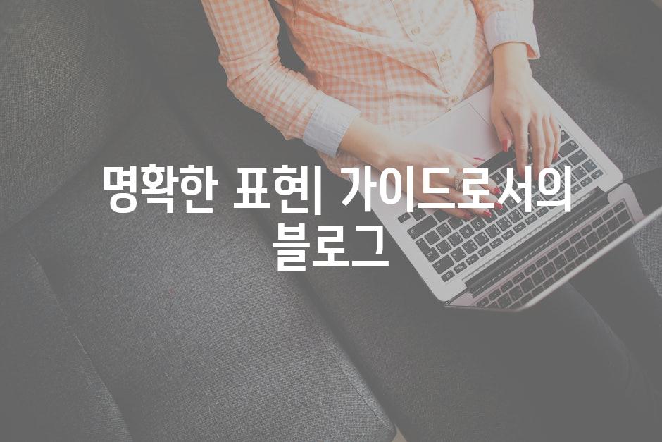  명확한 표현| 가이드로서의 블로그