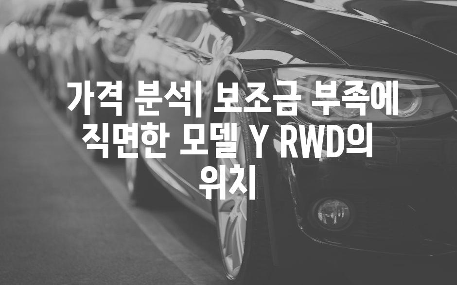  가격 분석| 보조금 부족에 직면한 모델 Y RWD의 위치