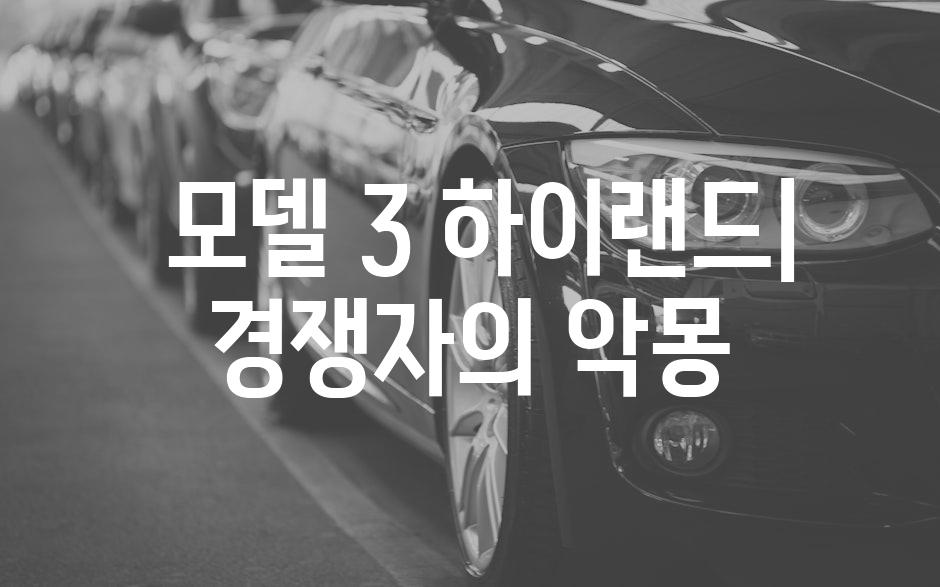  모델 3 하이랜드| 경쟁자의 악몽