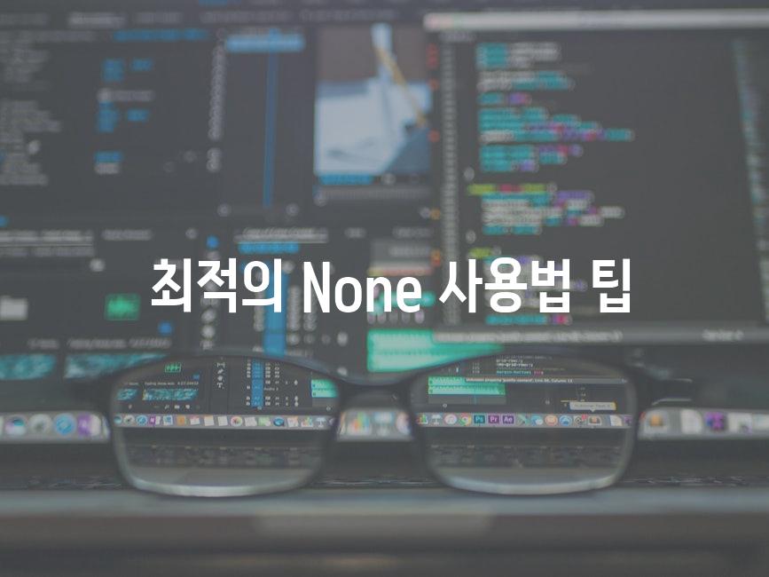  최적의 None 사용법 팁