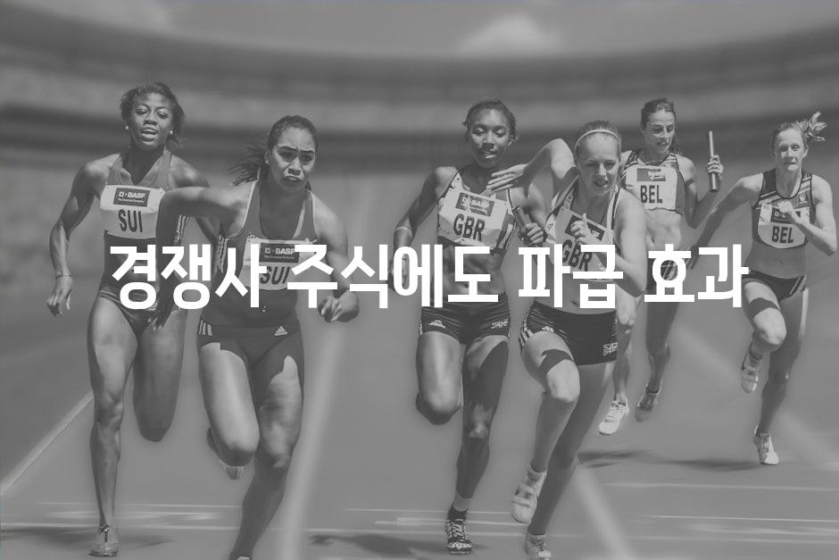  경쟁사 주식에도 파급 효과