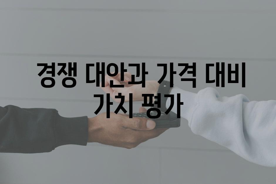  경쟁 대안과 가격 대비 가치 평가