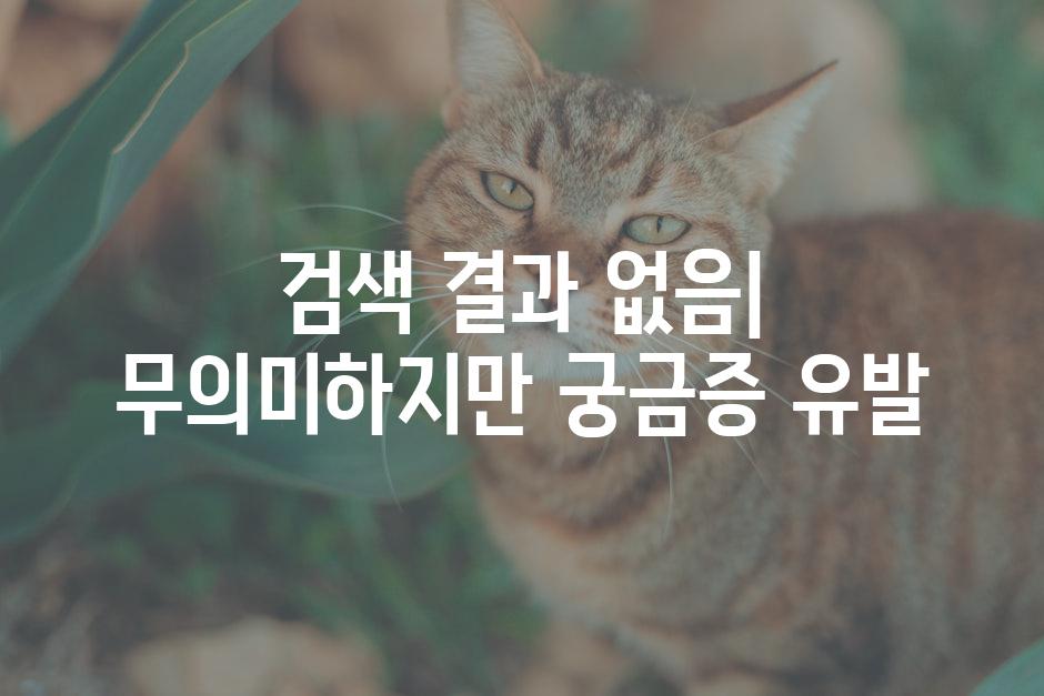 이미지_설명