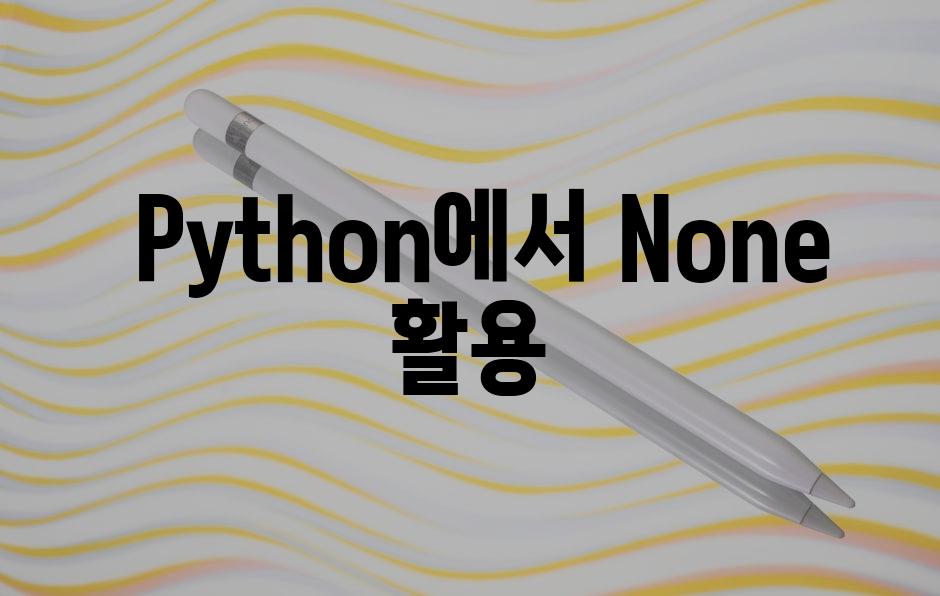  Python에서 None 활용