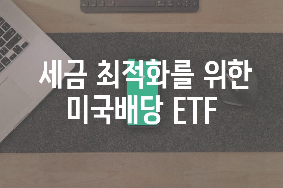  세금 최적화를 위한 미국배당 ETF