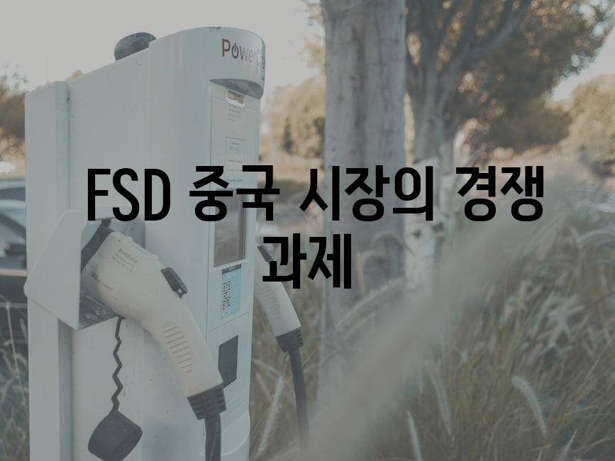  FSD 중국 시장의 경쟁 과제