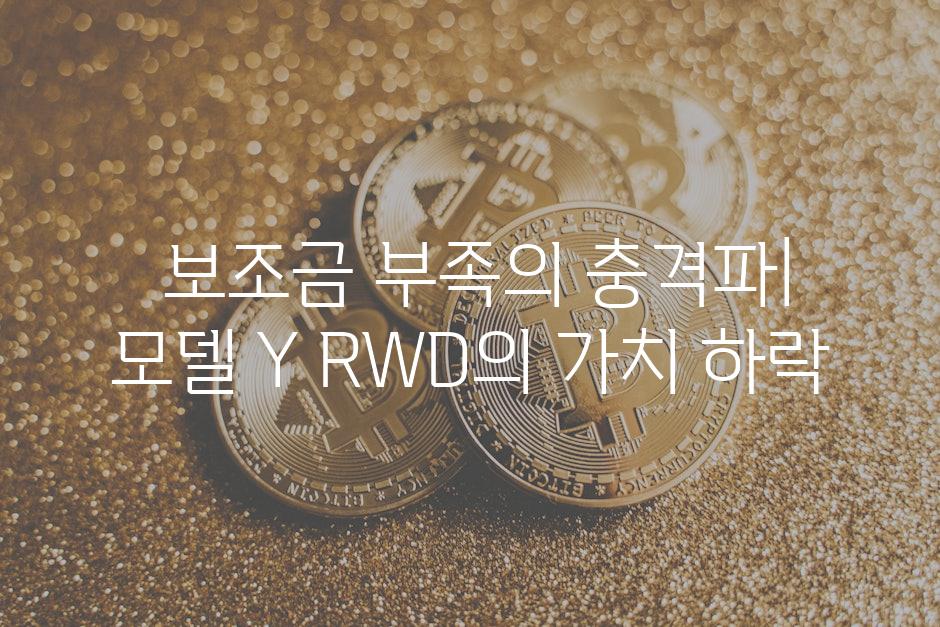  보조금 부족의 충격파| 모델 Y RWD의 가치 하락