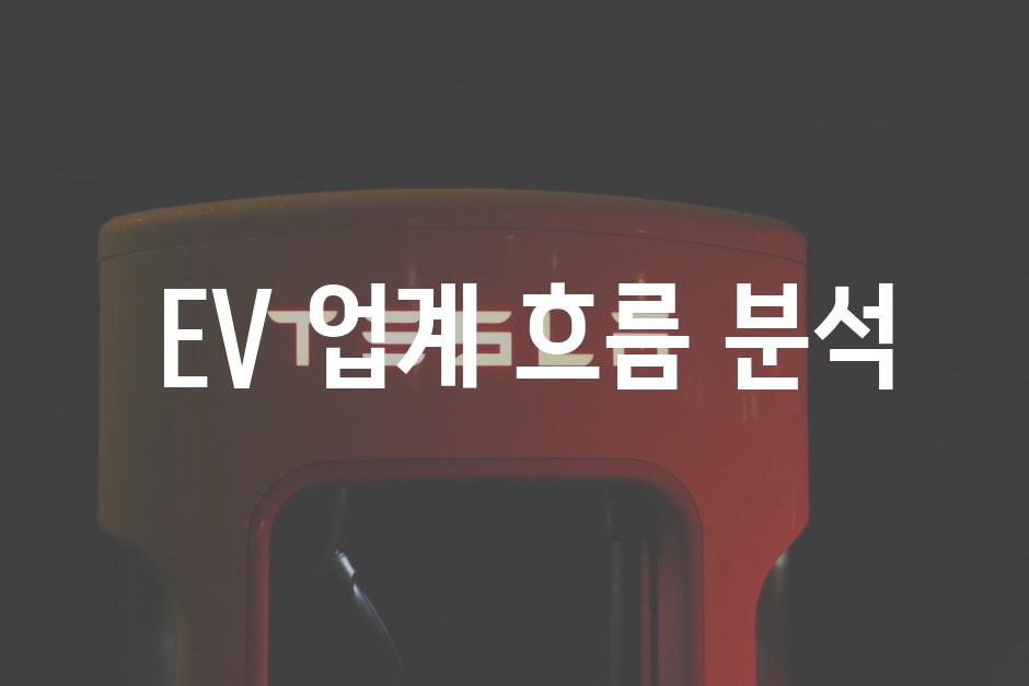  EV 업계 흐름 분석