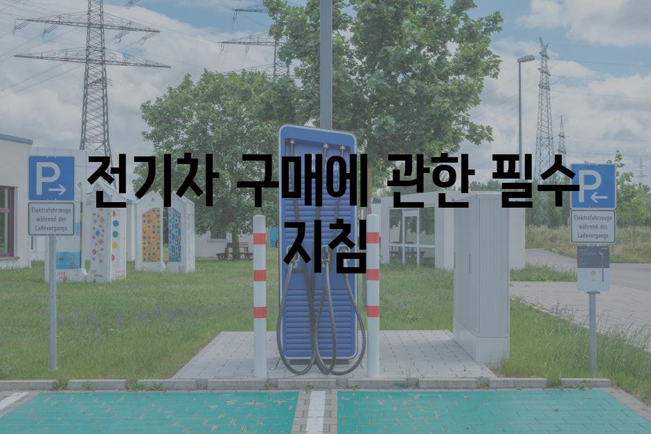  전기차 구매에 관한 필수 지침