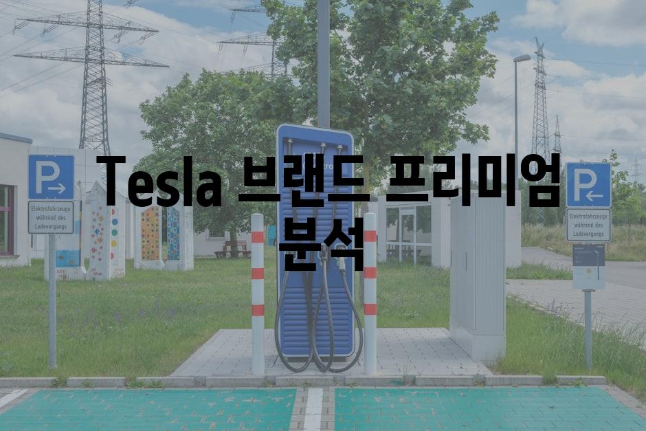  Tesla 브랜드 프리미엄 분석