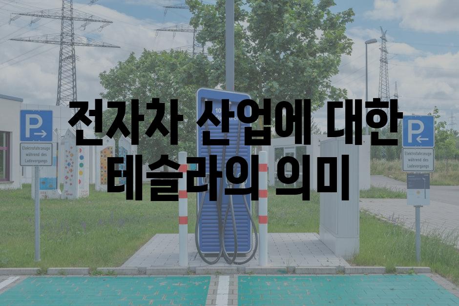  전자차 산업에 대한 테슬라의 의미