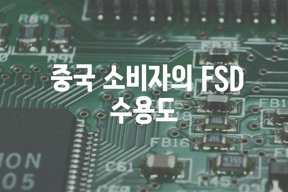  중국 소비자의 FSD 수용도