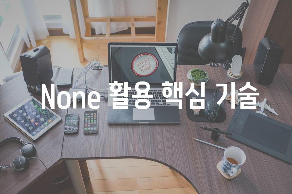 None 활용 핵심 기술