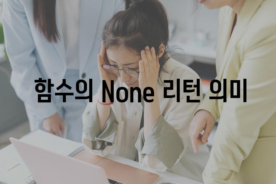  함수의 None 리턴 의미