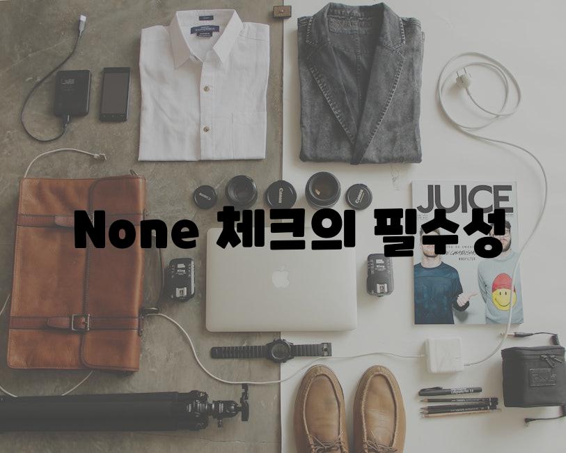  None 체크의 필수성