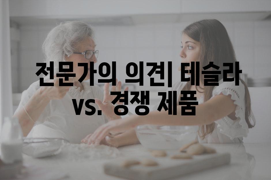  전문가의 의견| 테슬라 vs. 경쟁 제품