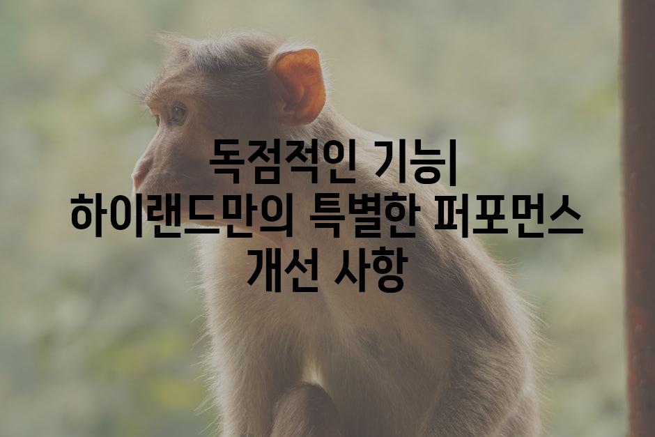  독점적인 기능| 하이랜드만의 특별한 퍼포먼스 개선 사항