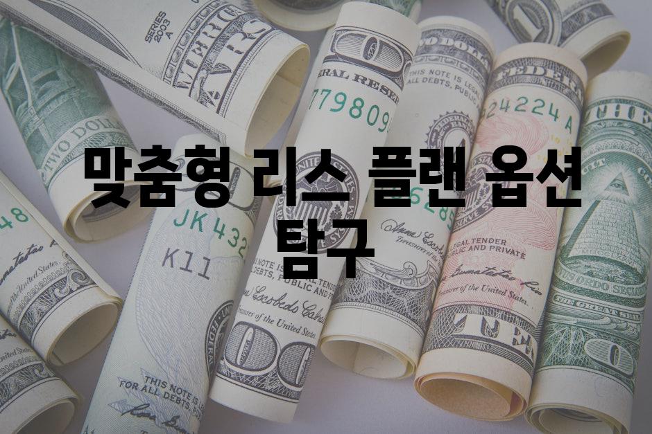 맞춤형 리스 플랜 옵션 탐구