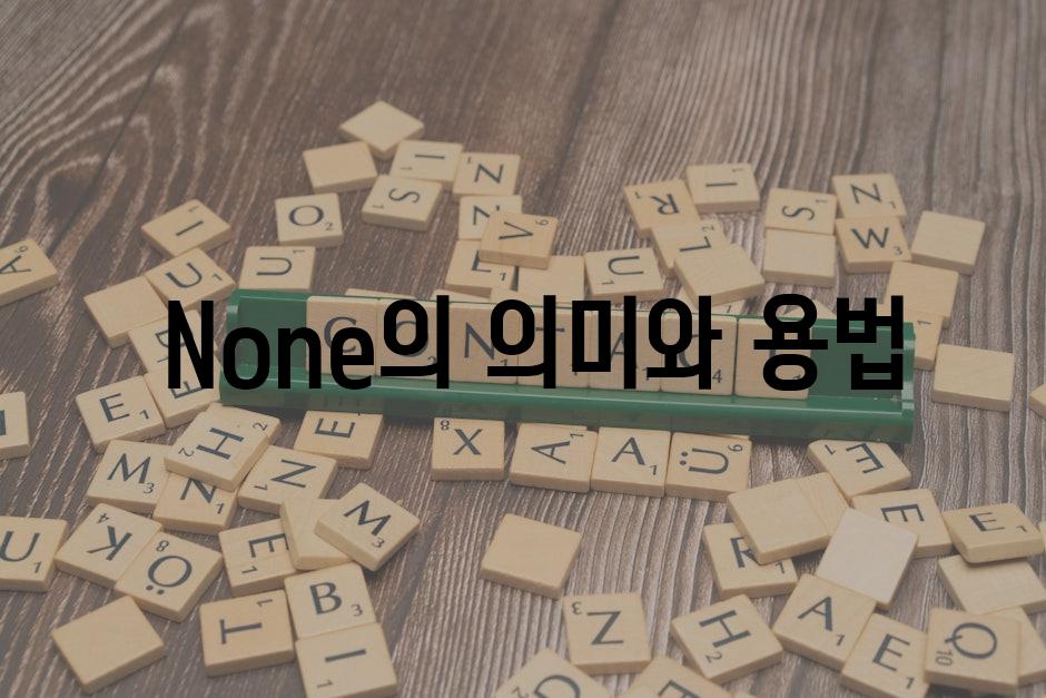  None의 의미와 용법