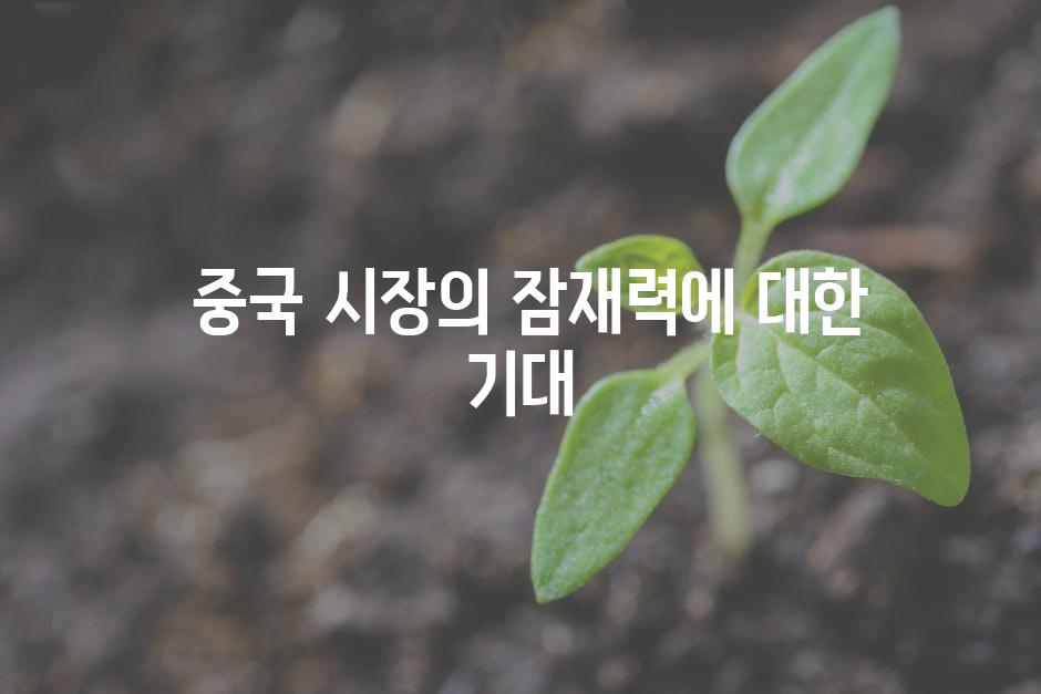  중국 시장의 잠재력에 대한 기대