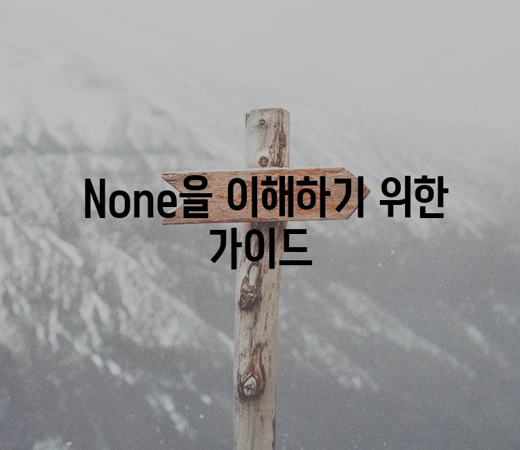 None을 이해하기 위한 가이드