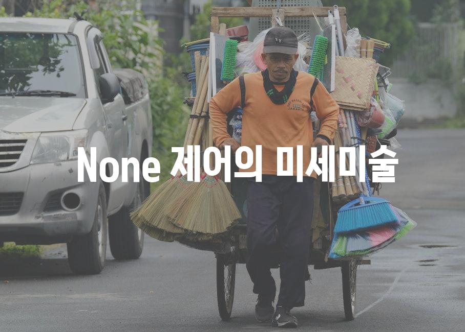  None 제어의 미세미술