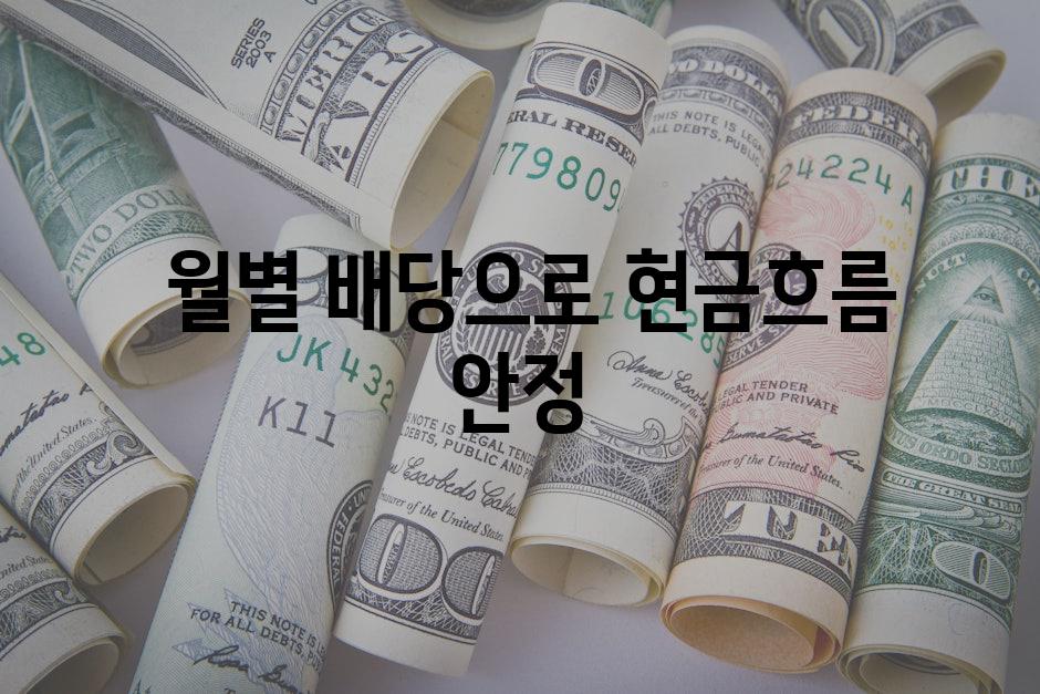  월별 배당으로 현금흐름 안정