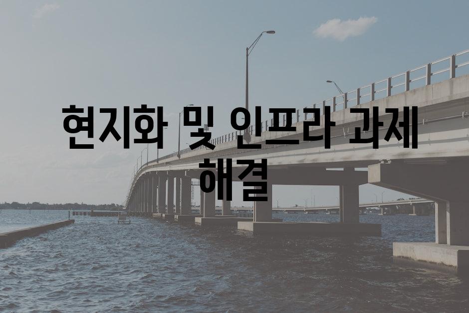  현지화 및 인프라 과제 해결