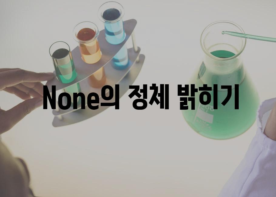  None의 정체 밝히기