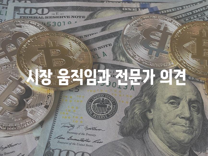  시장 움직임과 전문가 의견