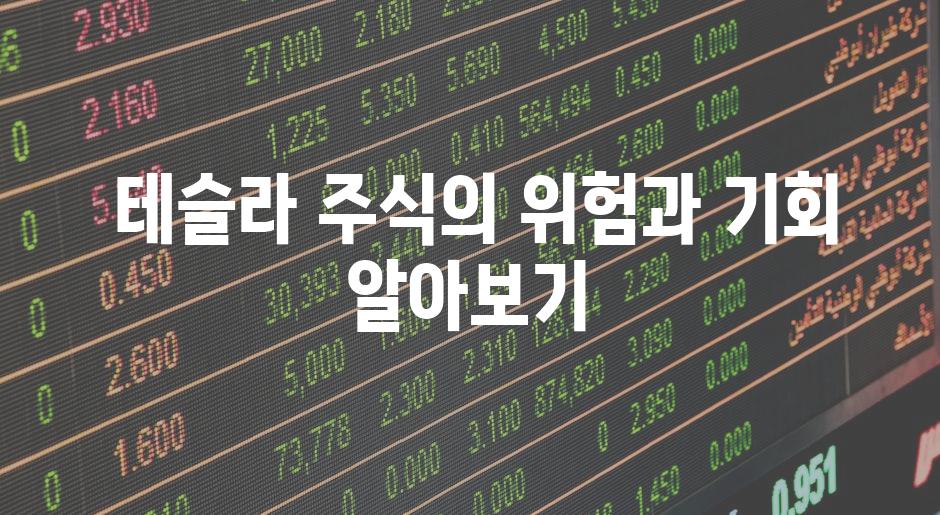  테슬라 주식의 위험과 기회 알아보기