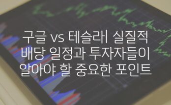 구글 vs 테슬라| 실질적 배당 일정과 투자자들이 알아야 할 중요한 포인트