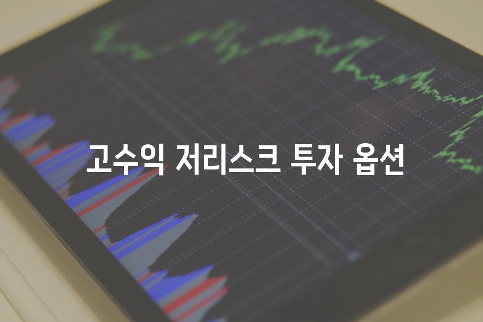  고수익 저리스크 투자 옵션