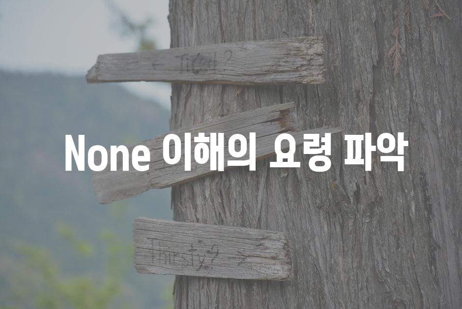  None 이해의 요령 파악