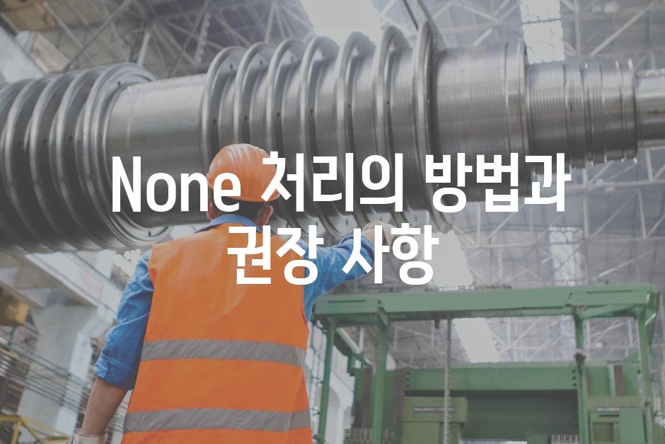  None 처리의 방법과 권장 사항